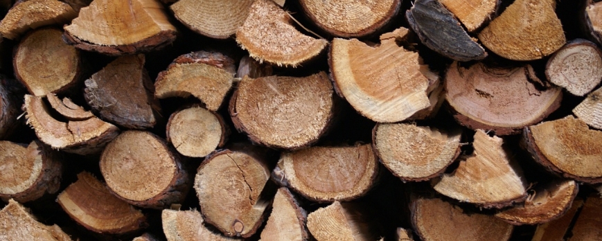 Chauffage au bois: Comment choisir la bûche idéale ?